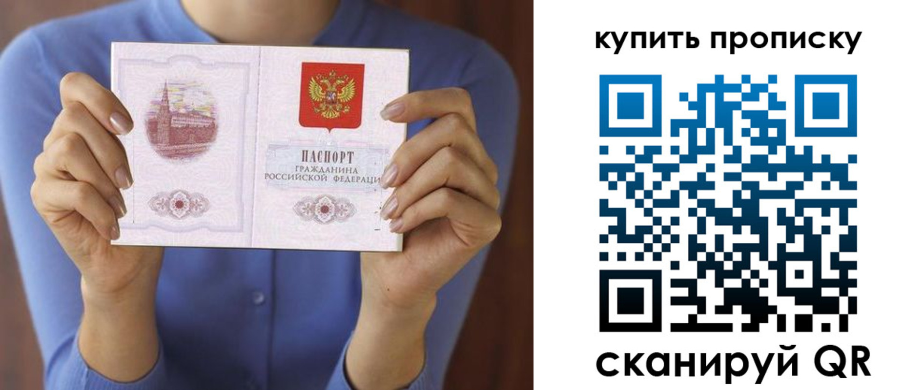 прописка для школы в Фрязино